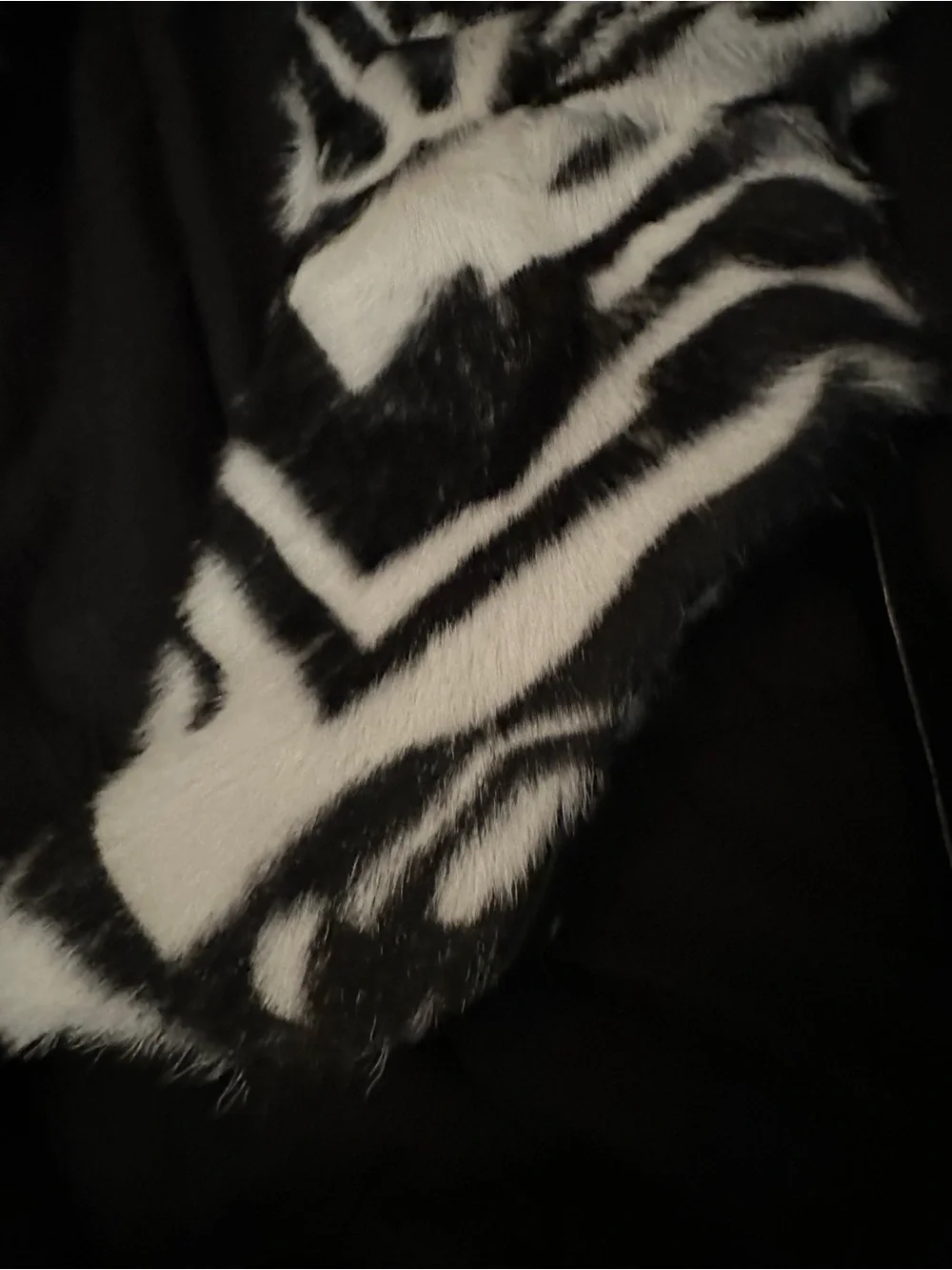 Jennifer Le Fur Zebra print Boots
